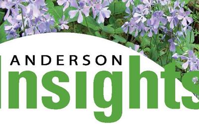 Spring Anderson Insights Now Available